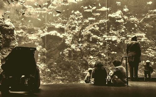 Close-up of woman in bikini