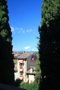 Low angle view of trees and buildings against sky