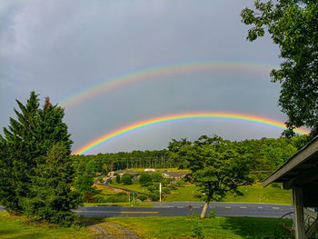 Rainbow over trees against sky