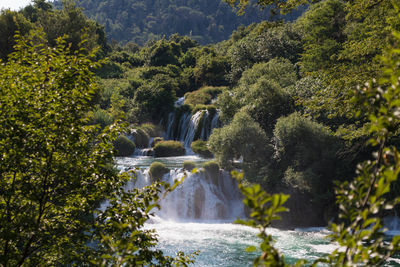 Scenic view of waterfall in forest