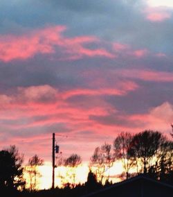 Silhouette of trees at sunset