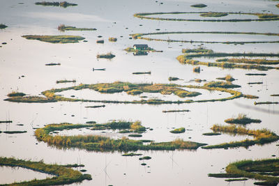 High angle view of floating on lake