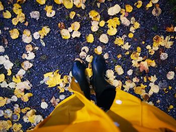 Low section of person standing on yellow autumn leaves