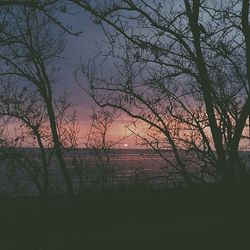Bare trees against sky at sunset