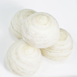 High angle view of candies against white background