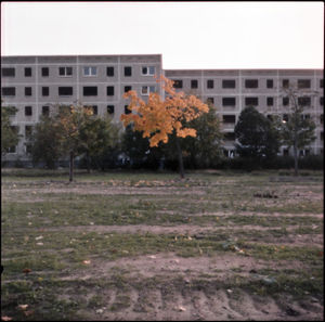 Buildings in city