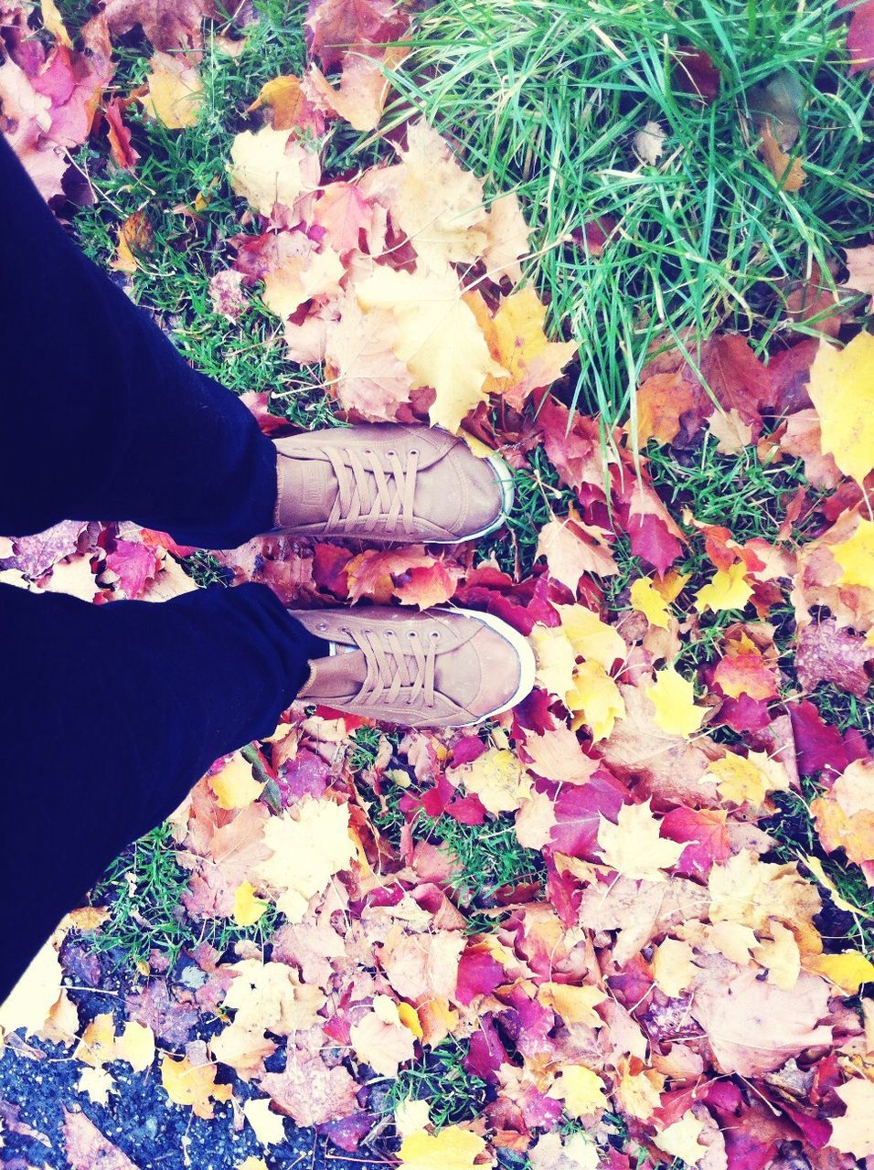 low section, person, high angle view, shoe, standing, lifestyles, human foot, personal perspective, leisure activity, leaf, directly above, autumn, footwear, men, unrecognizable person, fallen