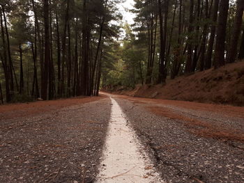 Road amidst trees in forest