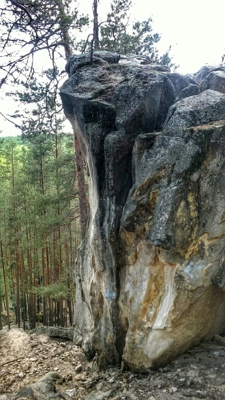 tree, rock - object, rock formation, nature, tranquility, scenics, tranquil scene, beauty in nature, sky, non-urban scene, rock, landscape, low angle view, day, mountain, tree trunk, geology, outdoors, forest, idyllic