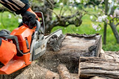 Man saws firewood with a red chainsaw