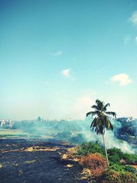 Scenic view of landscape against sky