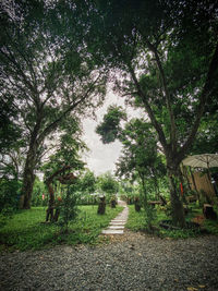 Footpath in park