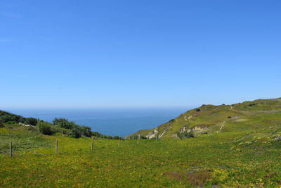 Scenic view of field by sea against clear blue sky