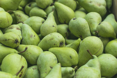 Full frame photography of freshly picked green pears on autumn day.