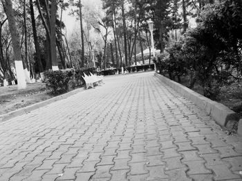 Footpath along trees