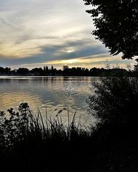 Silhouette of trees at sunset