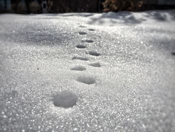 Close-up of snow