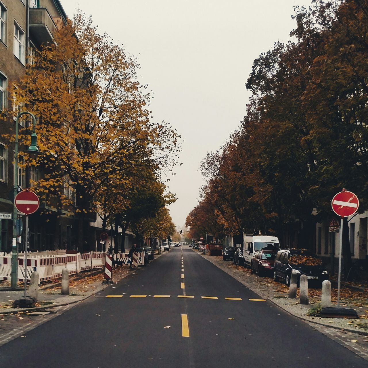 the way forward, transportation, road, road marking, diminishing perspective, street, vanishing point, clear sky, tree, building exterior, architecture, built structure, asphalt, road sign, car, empty, empty road, day, outdoors, long