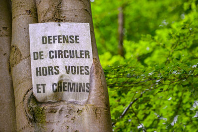 Close-up of information sign on tree trunk