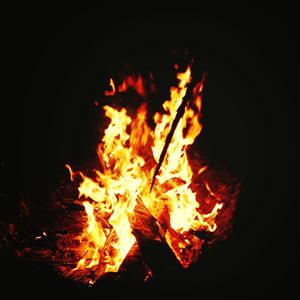 Close-up of bonfire at night