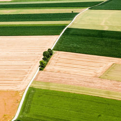 Aerial view of green landscape