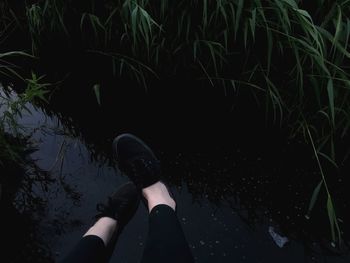 Low section of woman in water