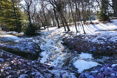 Scenic view of river in forest during winter