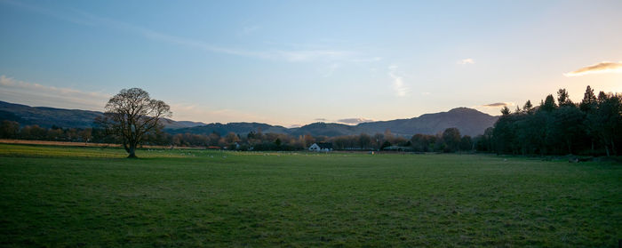 Scenic view of field against sky during sunset