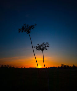 A beautiful spring sunrise with colorful skies.