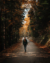 Rear view of man walking on road in forest