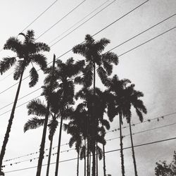 Low angle view of electricity pylon