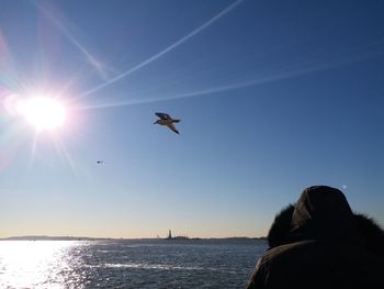 Bird flying over sea against sky