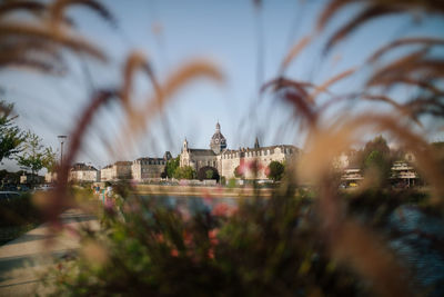 Church seen through plants