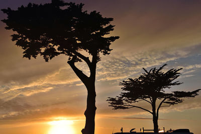 Low angle view of silhouette tree against sky during sunset