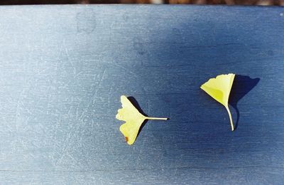 High angle view of yellow umbrella on road