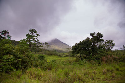 Scenic view of landscape against sky