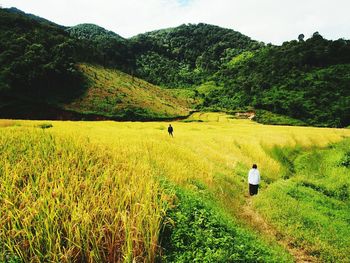 Man working on field against sky