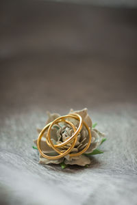 Close-up of yellow rose on table