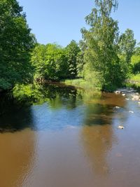 Scenic view of lake in forest against sky