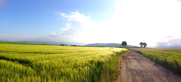 Dirt road along countryside landscape