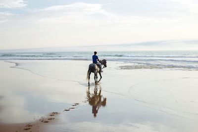 Man riding horse on beach