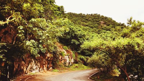 Road amidst trees against clear sky