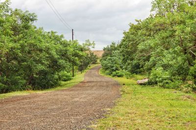 Road amidst trees and plants against sky