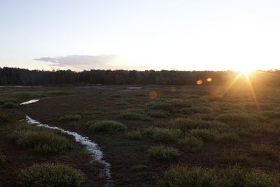 Scenic view of grassy field against sky at sunset
