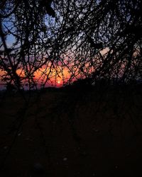 Silhouette trees against sky during sunset