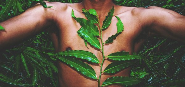 Midsection of man with leaves