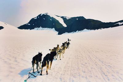 Panoramic view of snow on landscape against sky