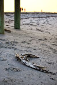 Close-up of sand on beach