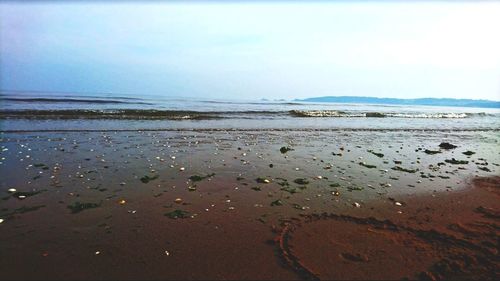 Scenic view of beach against sky