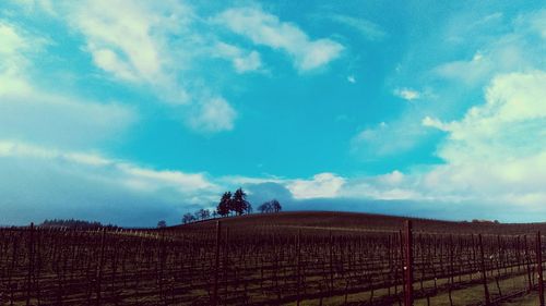 Scenic view of field against cloudy sky